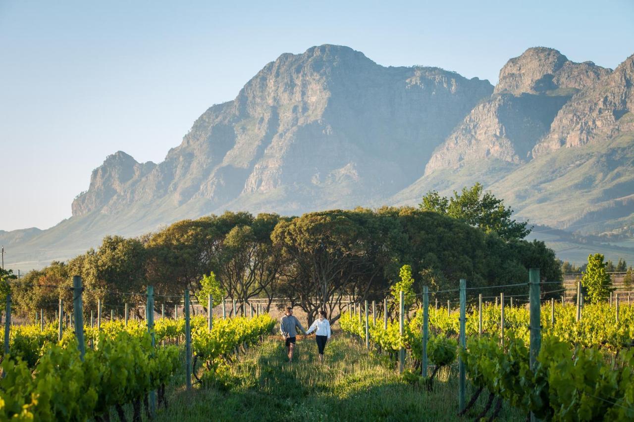 La Bella Vita Studios Paarl Exteriör bild