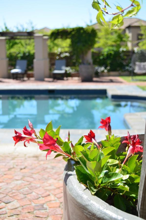La Bella Vita Studios Paarl Exteriör bild