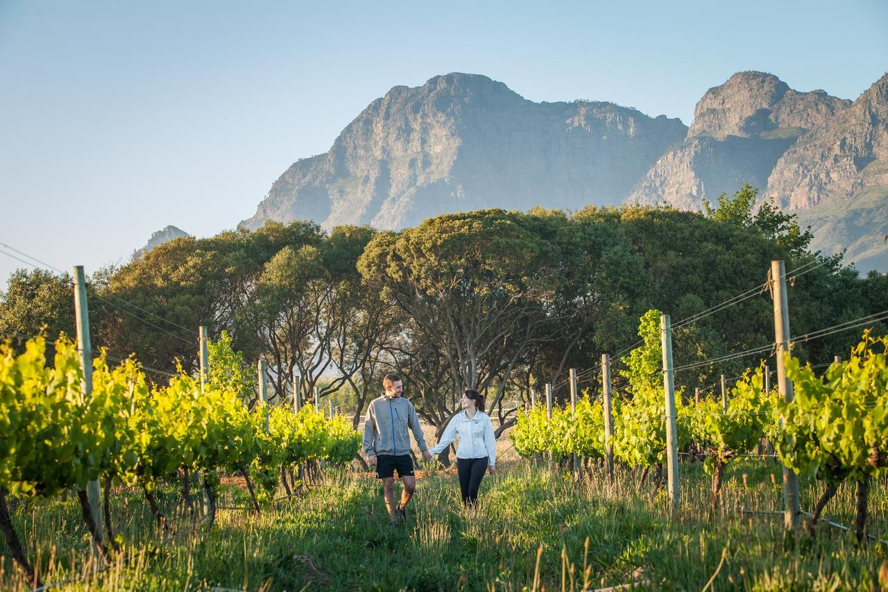 La Bella Vita Studios Paarl Exteriör bild